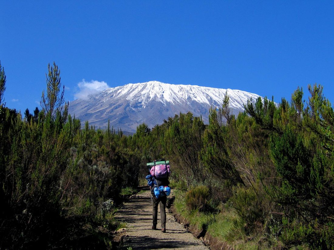 Kilimanjaro Summit Trek
