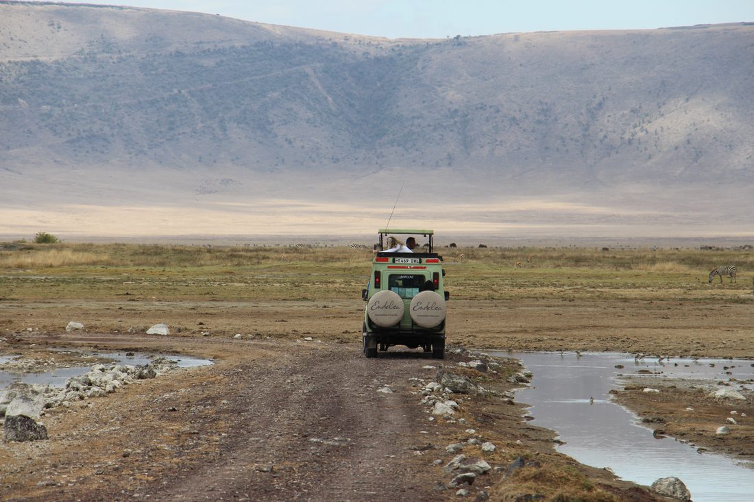 Ngorongoro Crater Floor Safari