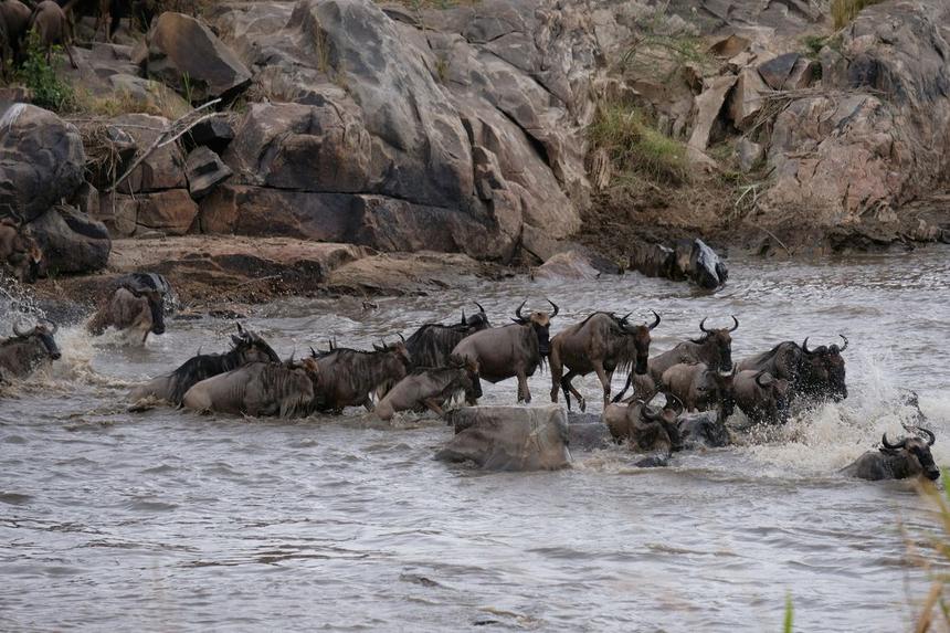 Great Migration River Crossings