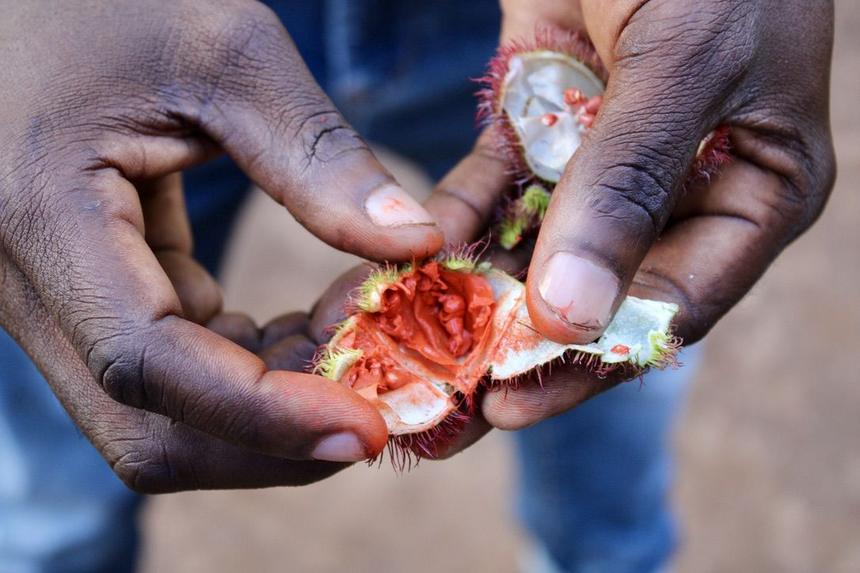 Zanzibar Spice Farm Tour