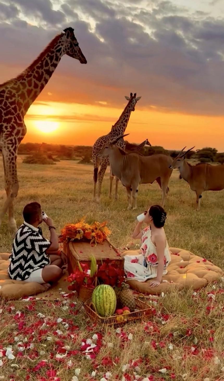 Safari Wedding Photoshoot