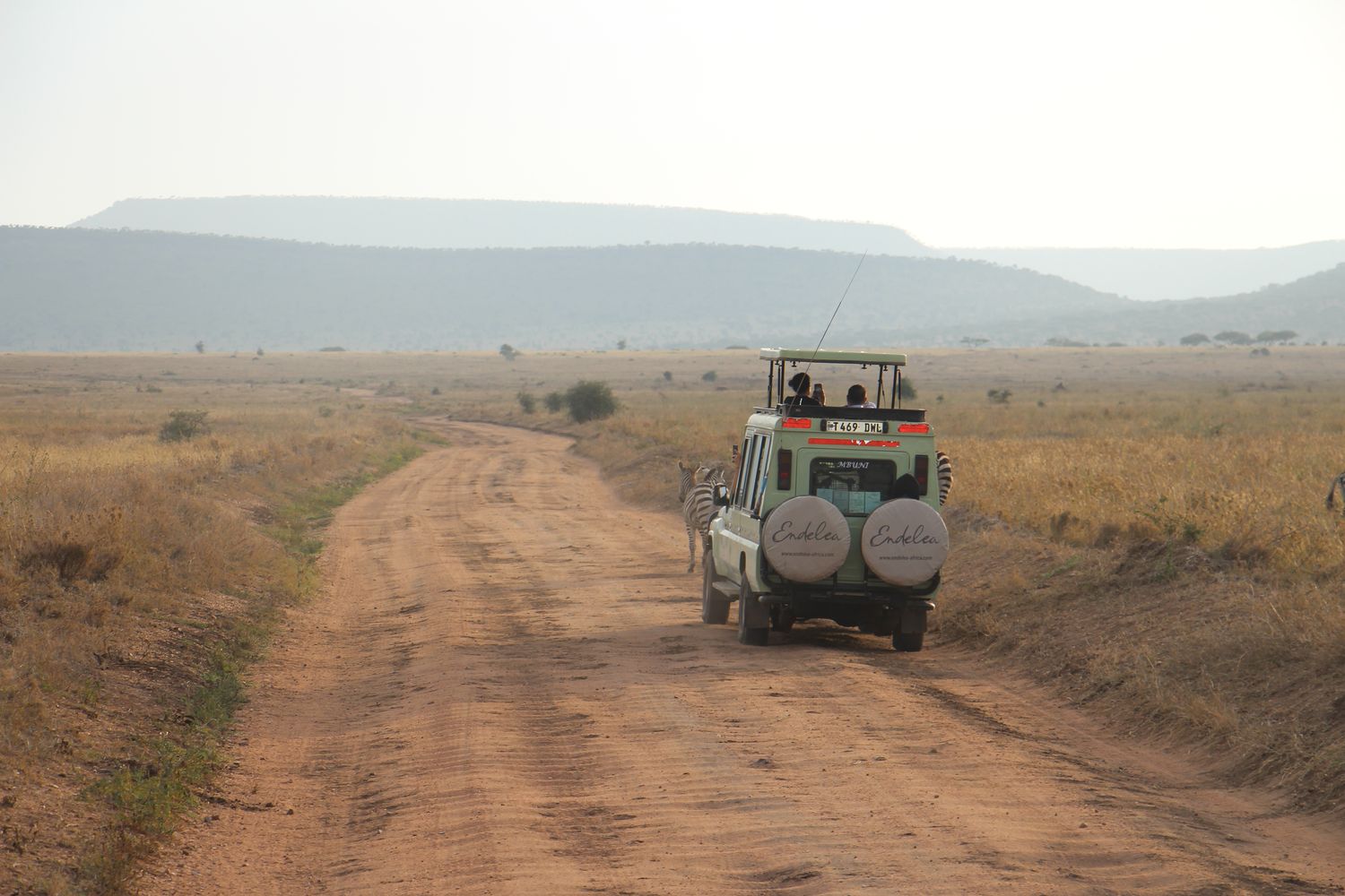 A moment from an Endelea safari