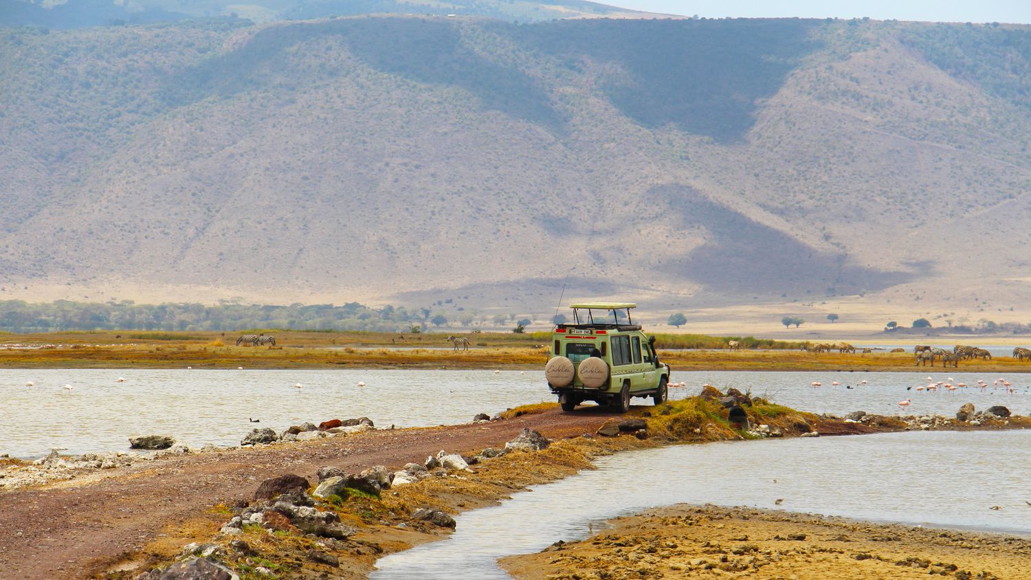 A moment from an Endelea safari