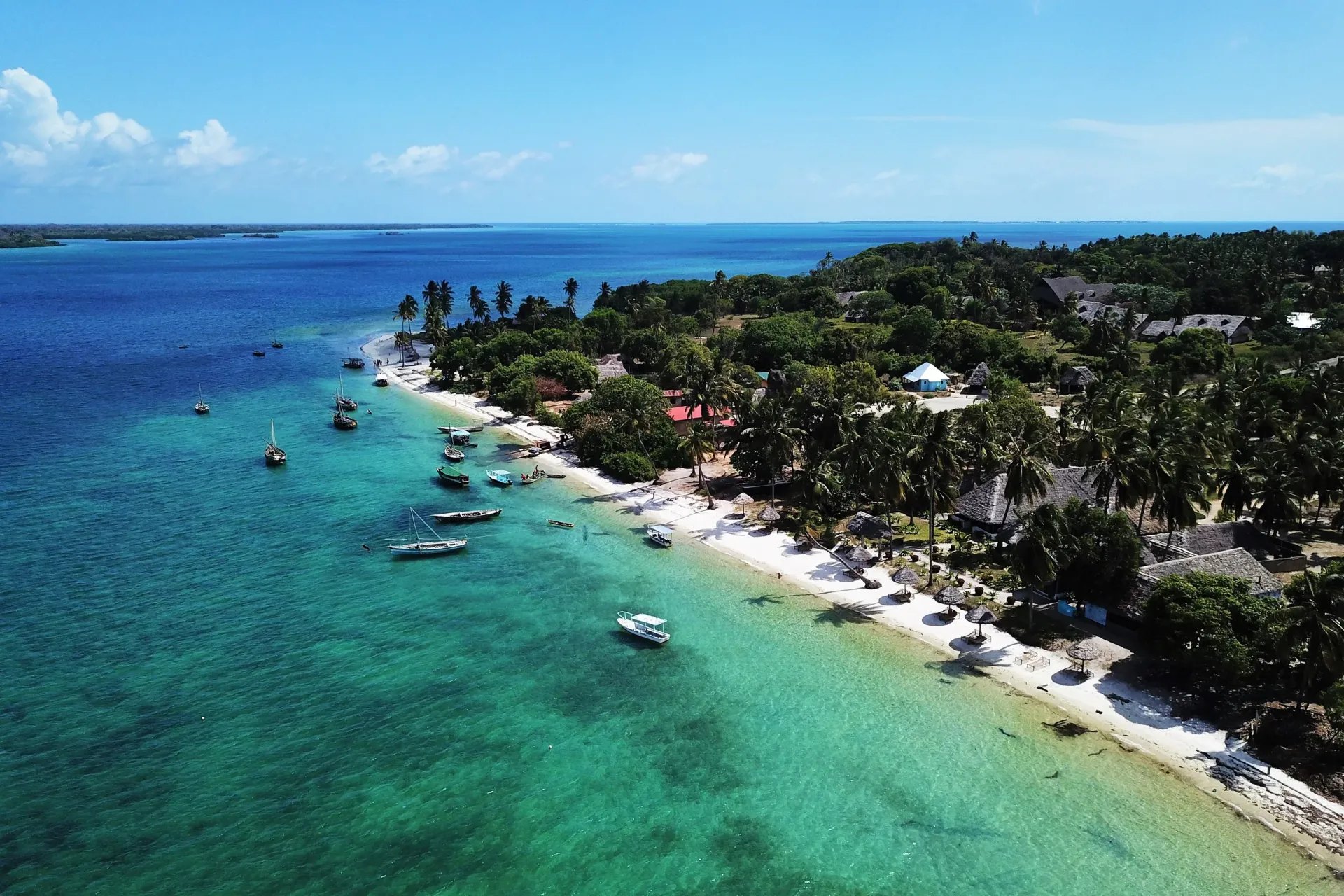 Swahili Islands Ocean Safari
