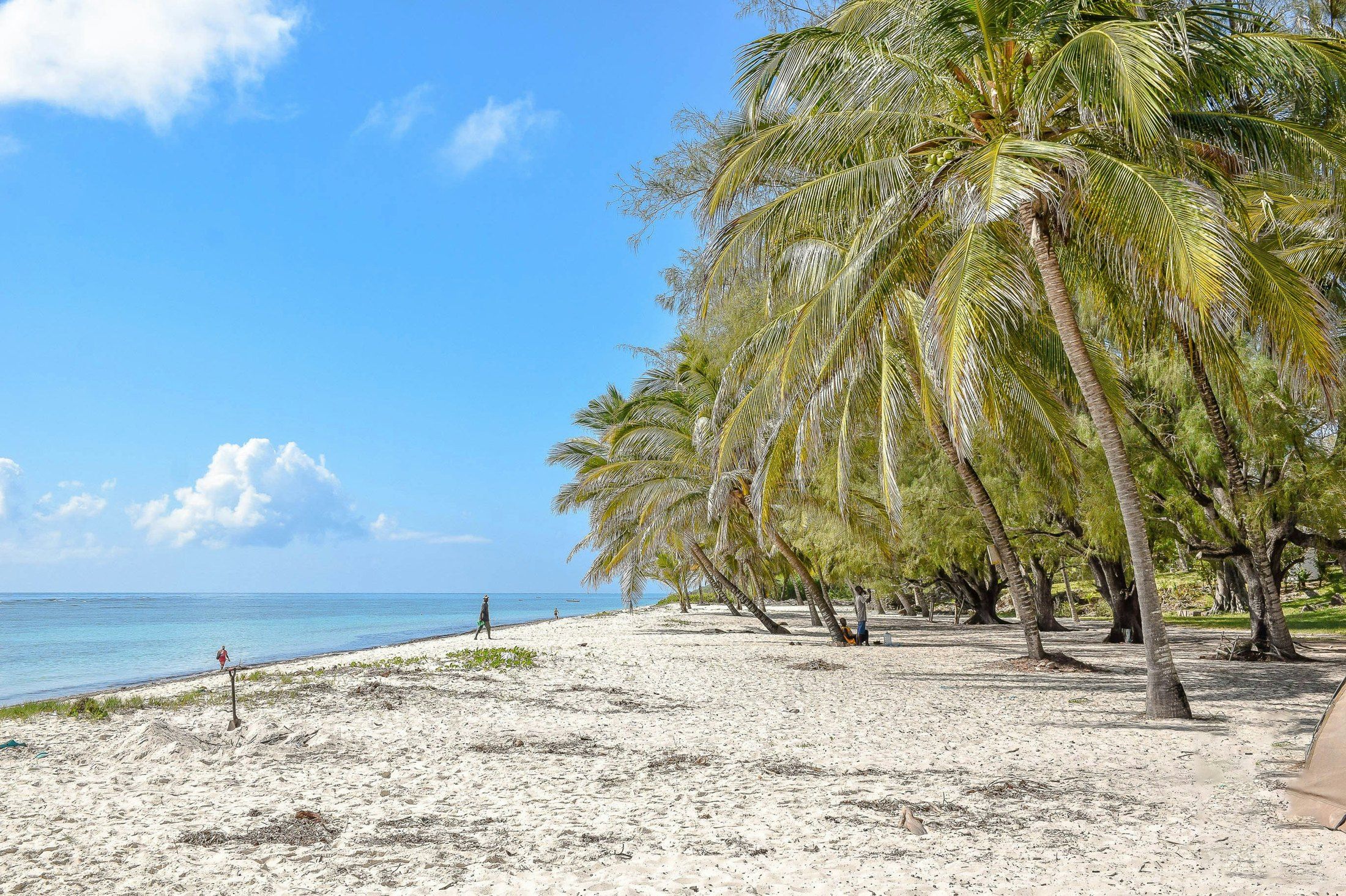 Kenya Safari and Beach Bliss