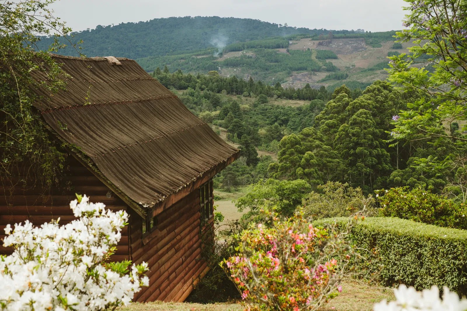 Ruaha and Mufindi Tea Highlands