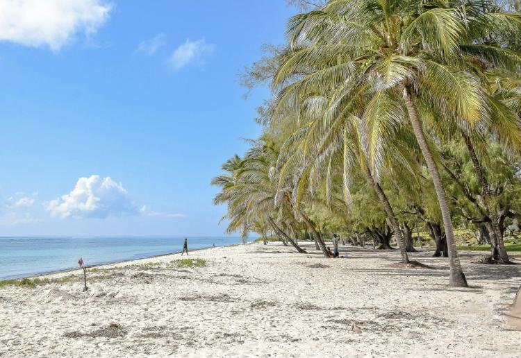 Kenya Safari & Beach Bliss