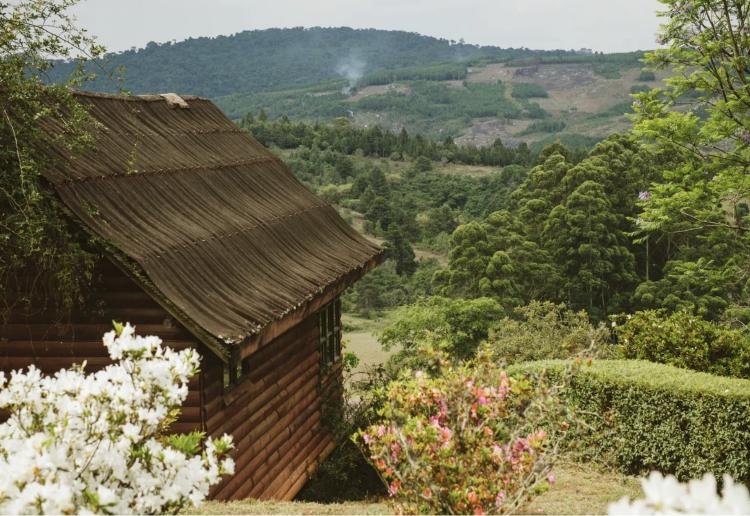 Ruaha & Mufindi Tea Highlands
