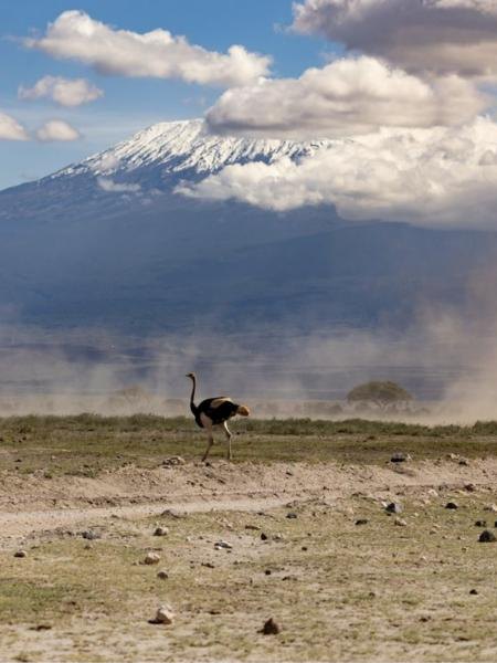 Amboseli
