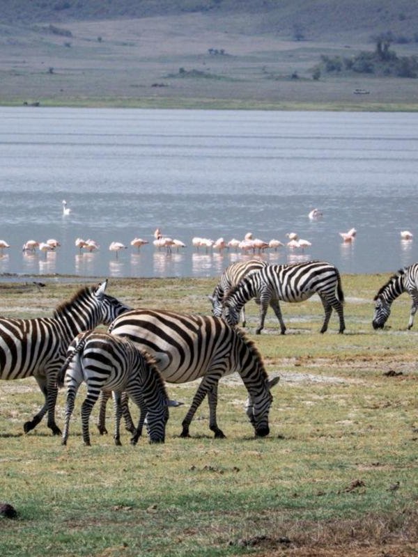 Lake Manyara