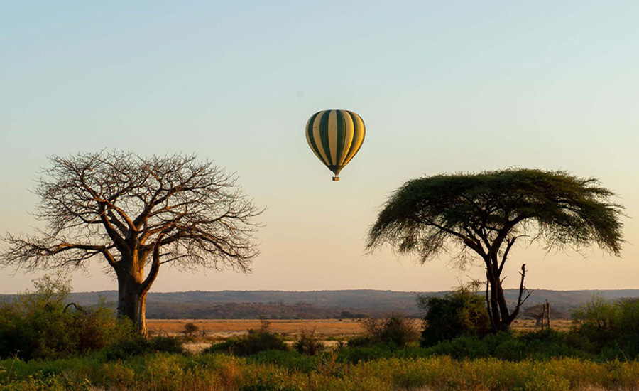 Hot Air Balloon Safari in Tarangire National Park