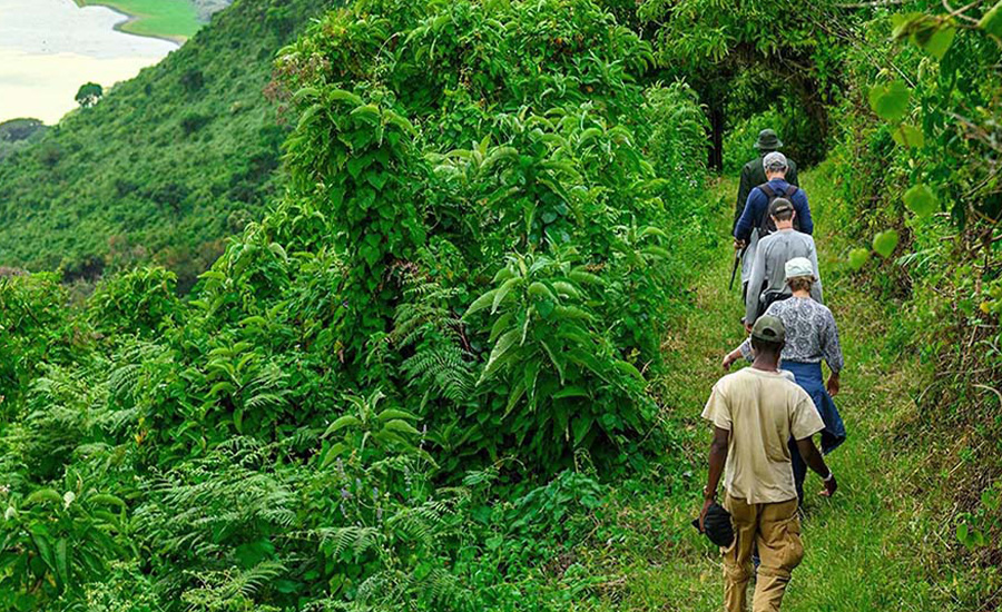 Nature Walk in Lake Manyara National Park