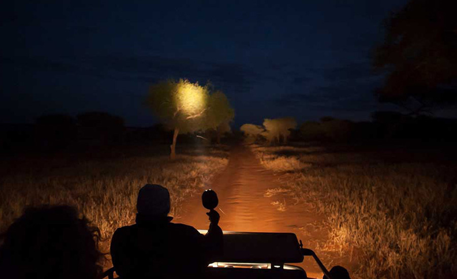 Night Game Drive in Lake Manyara National Park