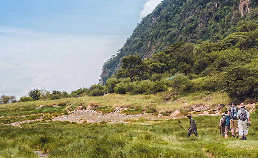 Forest Hike in Lake Manyara National Park