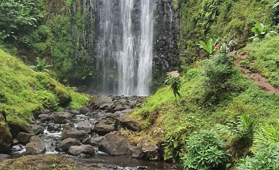 Tululusia Waterfalls Walk in Arusha National Park